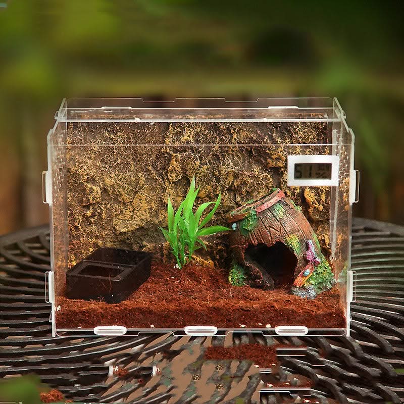 Reptiles Transparent Box