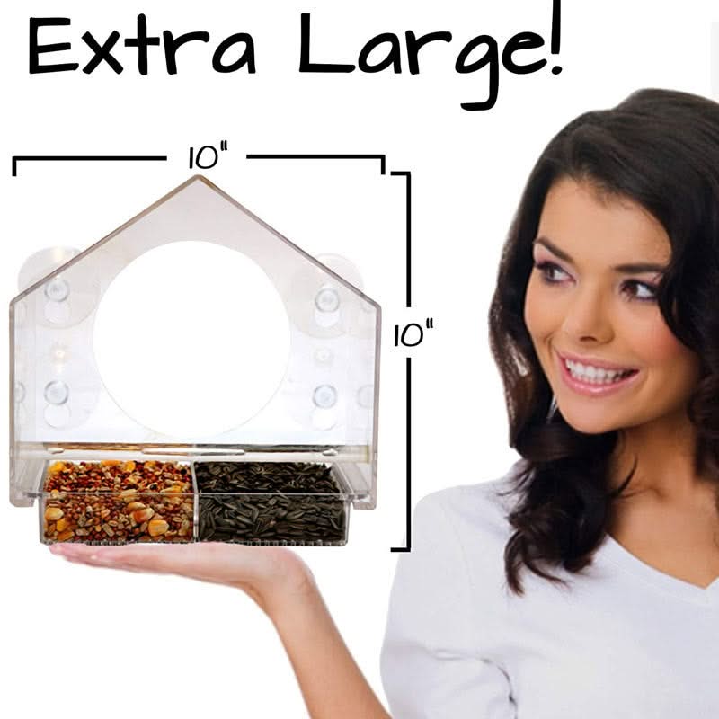 Crylic Bird Feeder