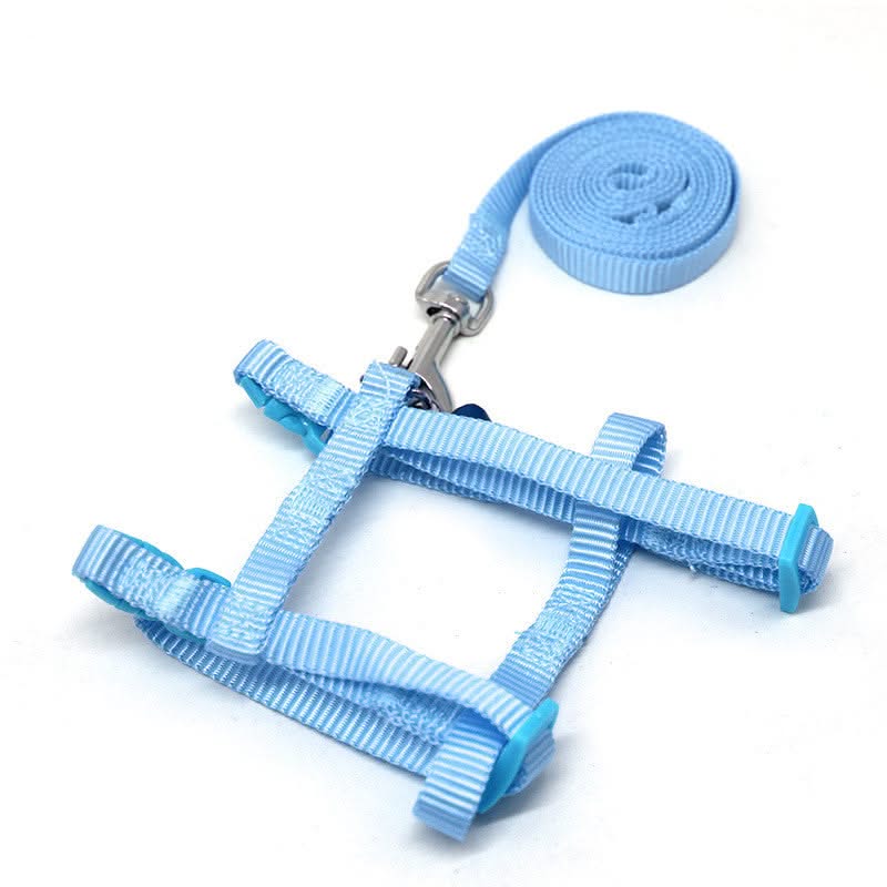 Small Pet Walking rope