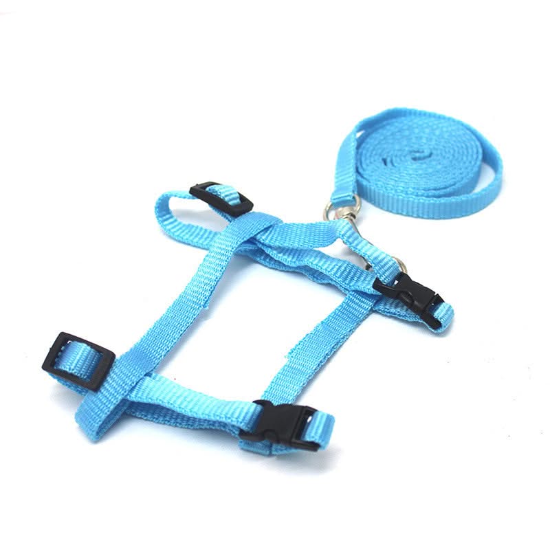 Small Pet Walking rope