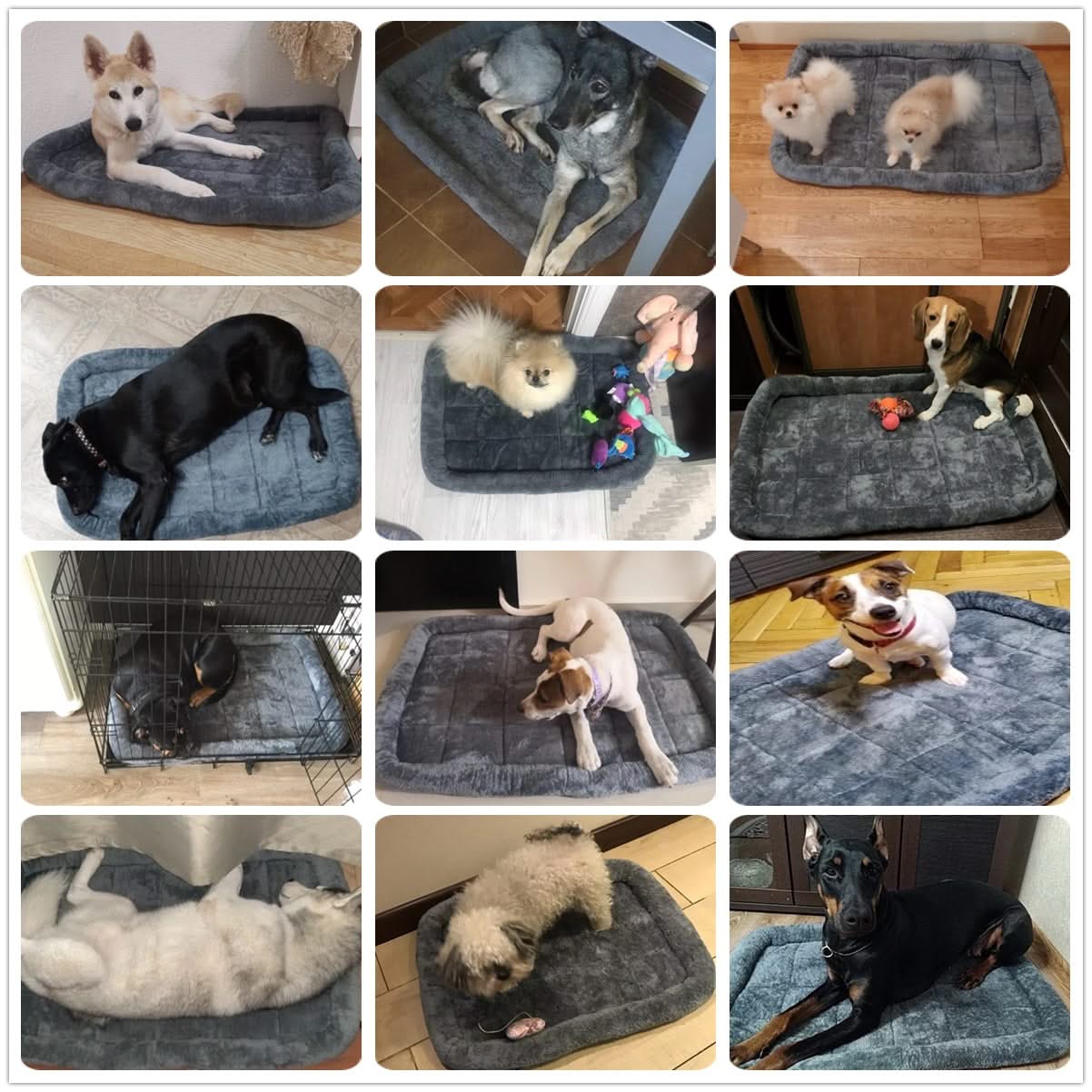 Pet kennel Mats
