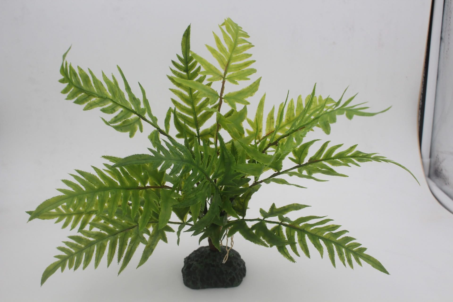Landscaping Decoration Simulation Plant