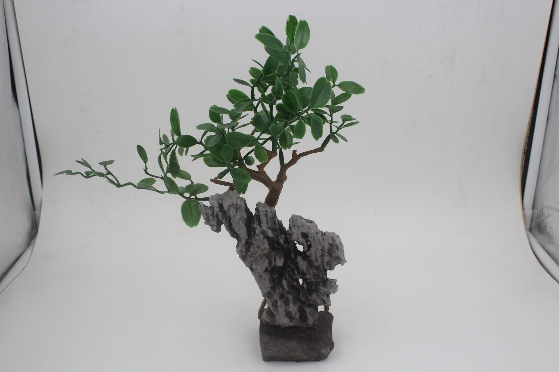 Landscaping Decoration Simulation Plant