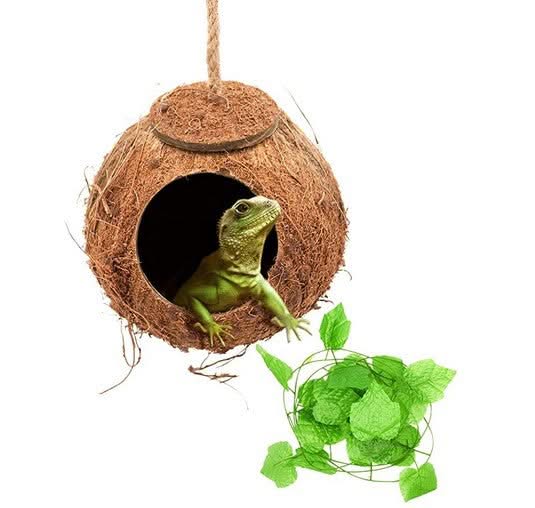 Reptile swing