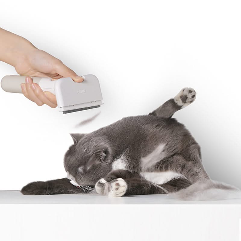 Pet Comb