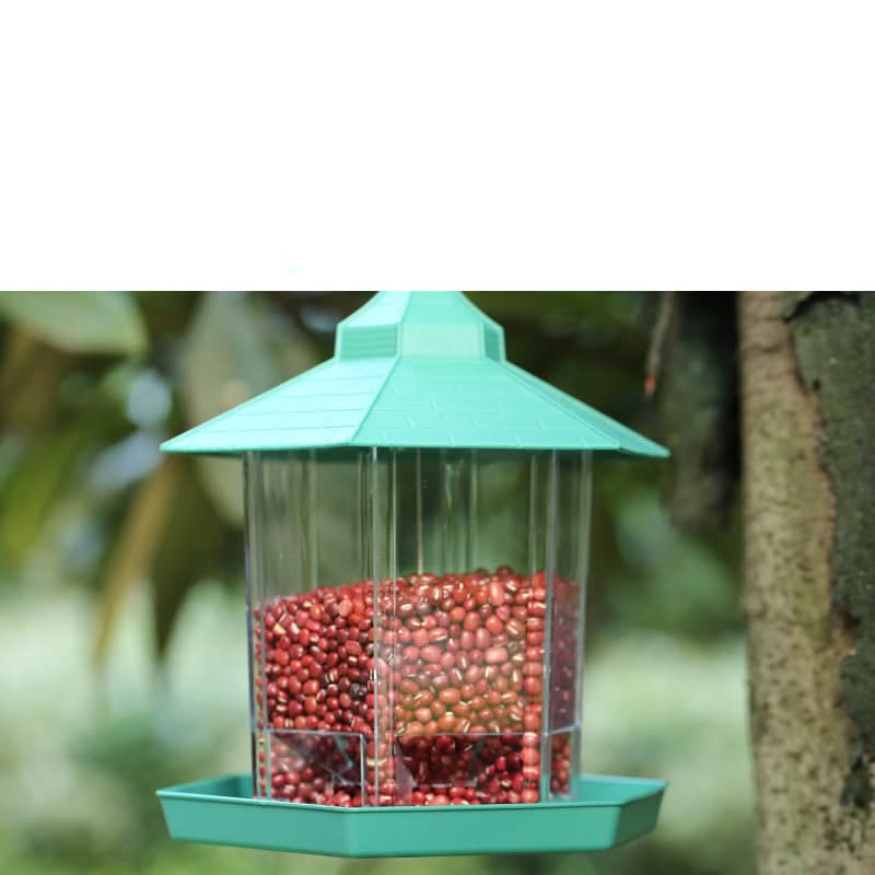 Lanyard Bird Feeder