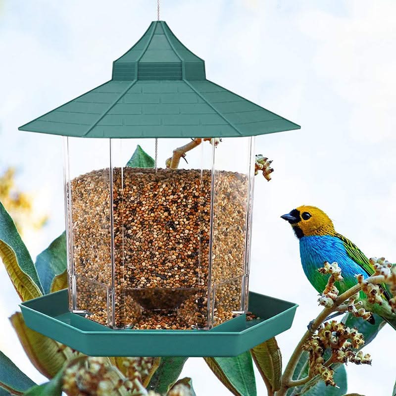 Lanyard Bird Feeder
