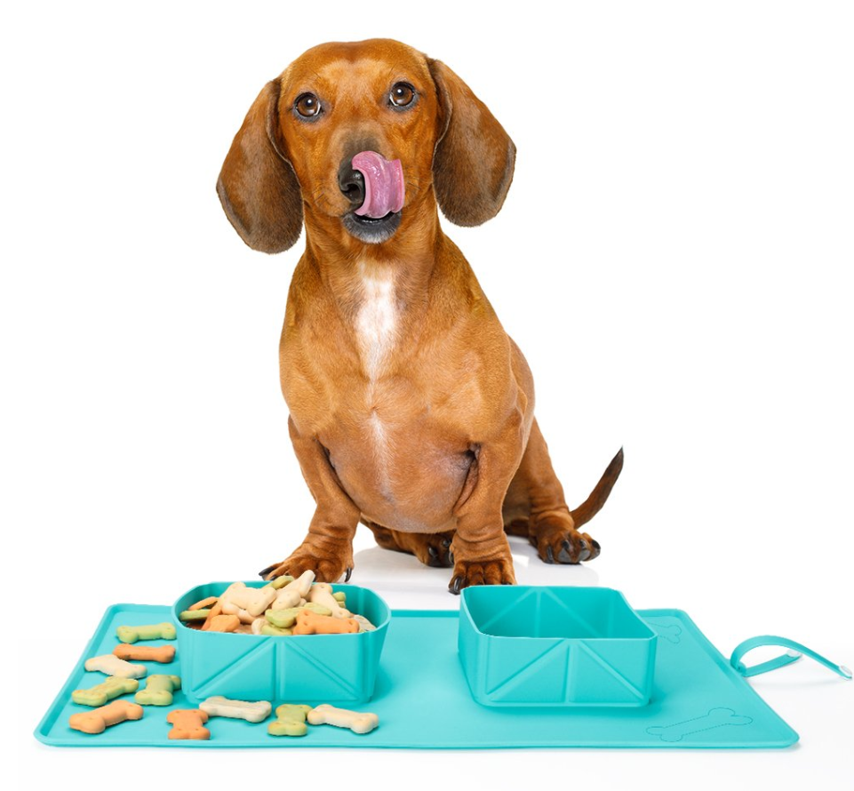 Dogs Silicone Bowls