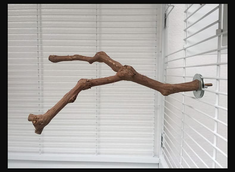 Pole for parrot birds