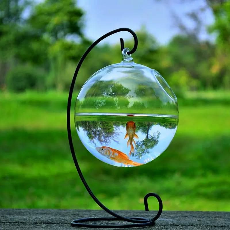 Hanging Glass Fish Tank