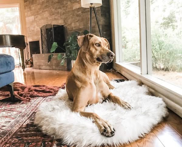 Pet dog plush mat