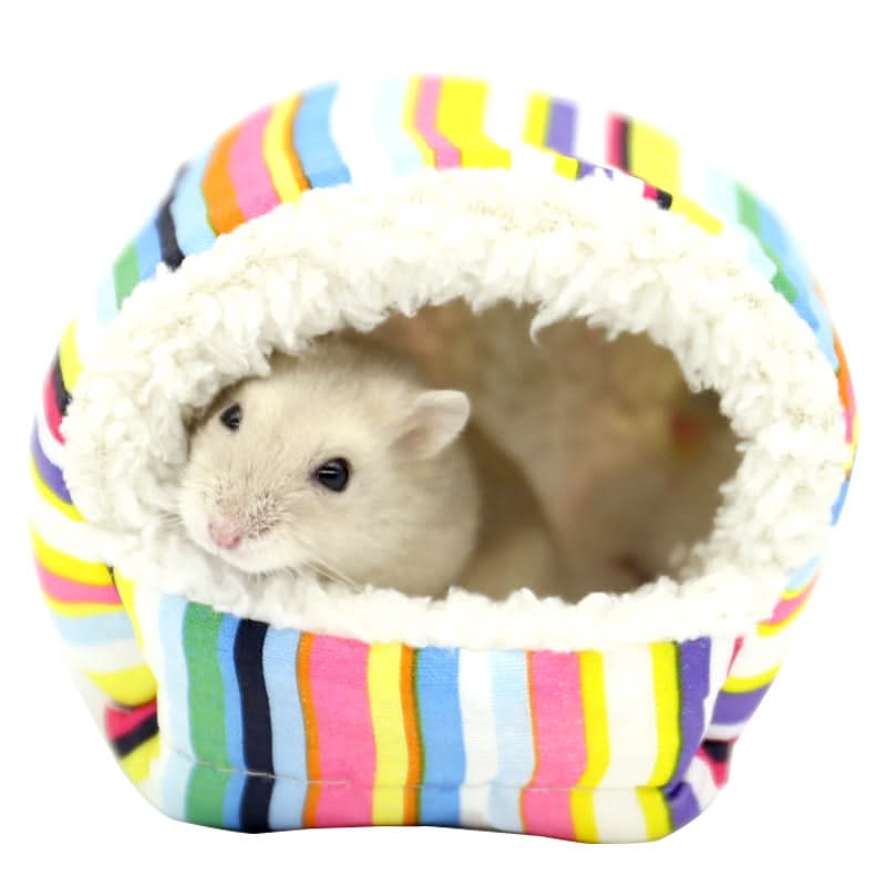Pet hanging house