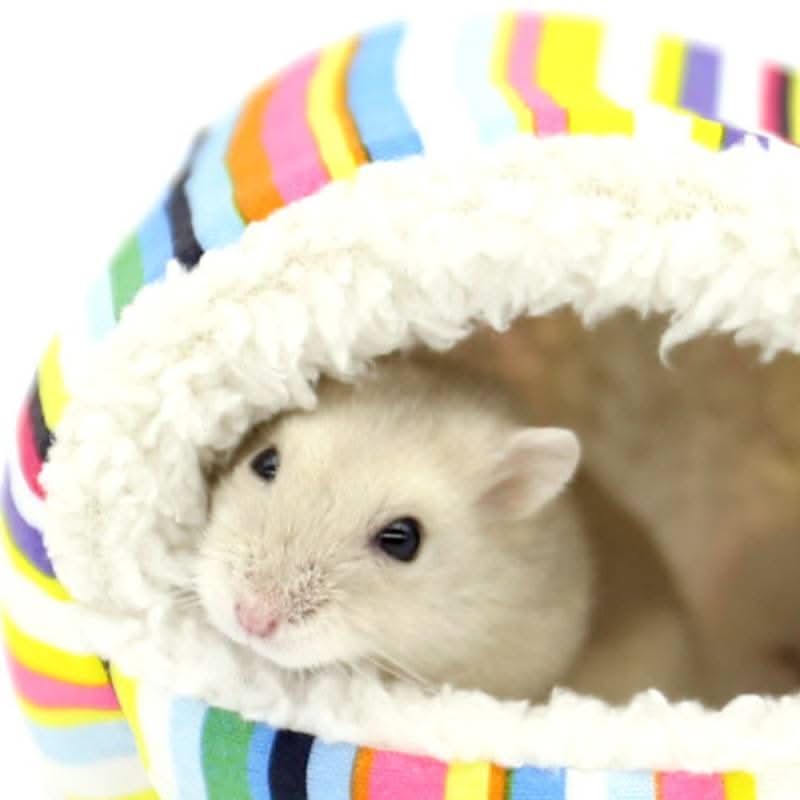 Pet hanging house