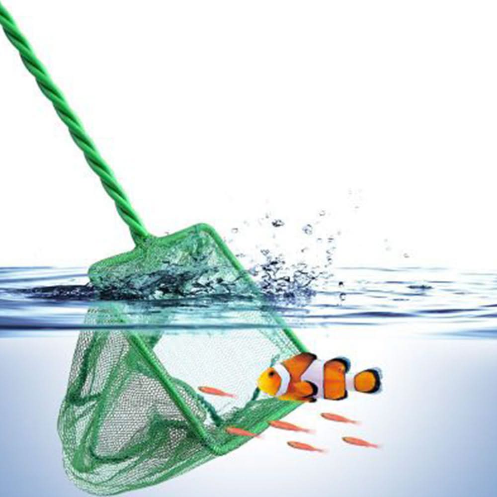 Fishing Net for Fish Tank