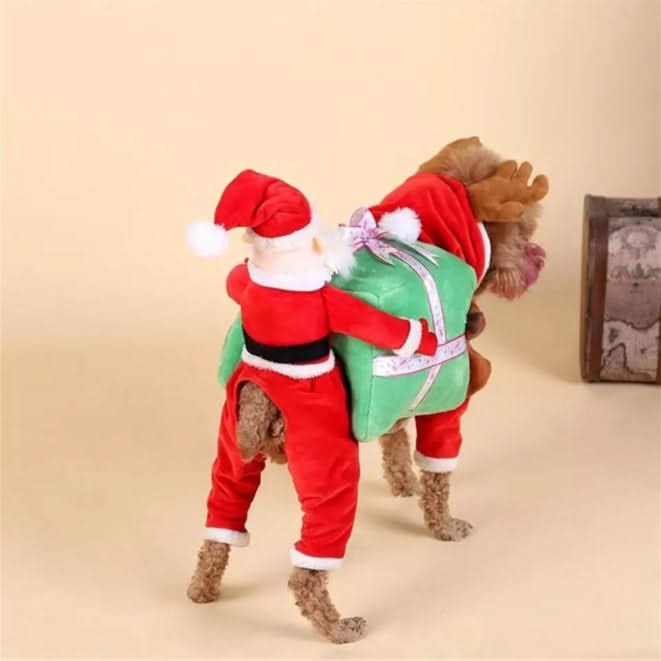 Dog clothes
