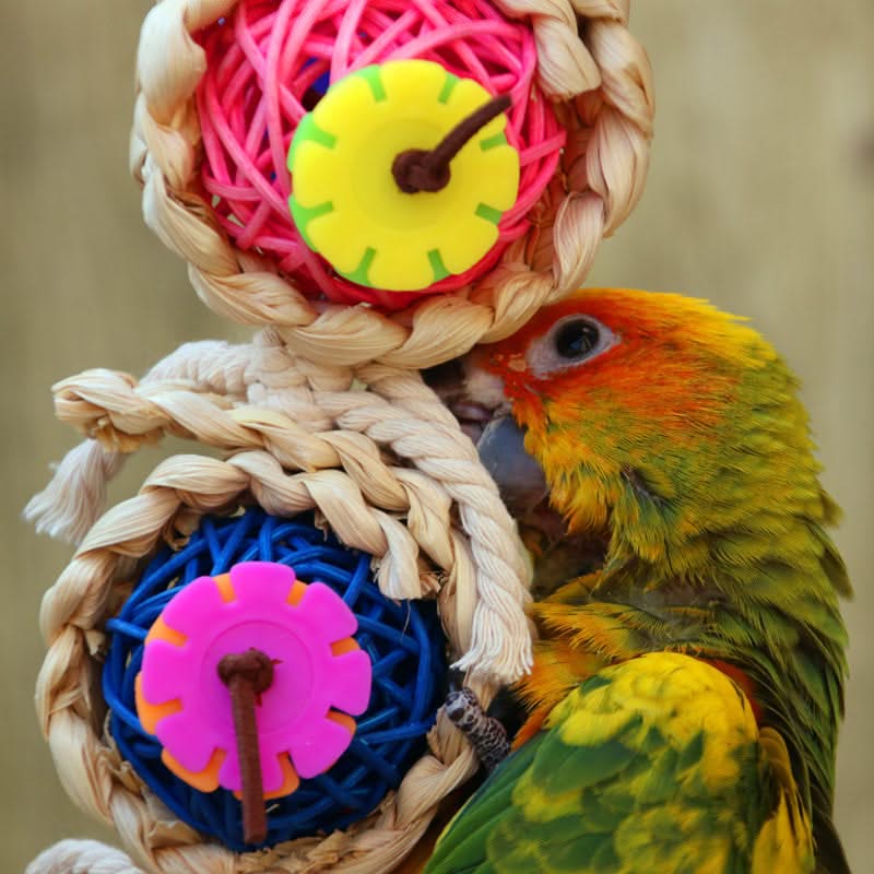 Pet Bird Toy