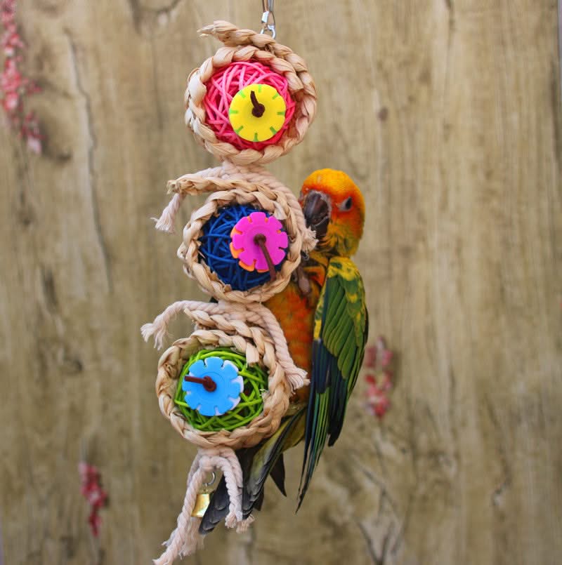 Pet Bird Toy