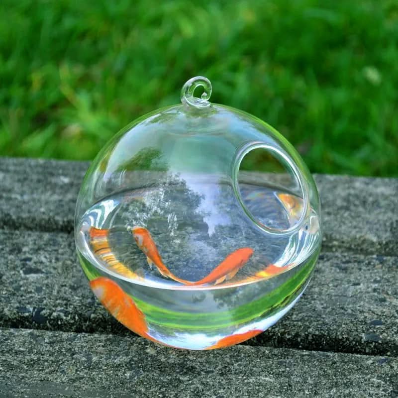 Hanging Glass Fish Tank