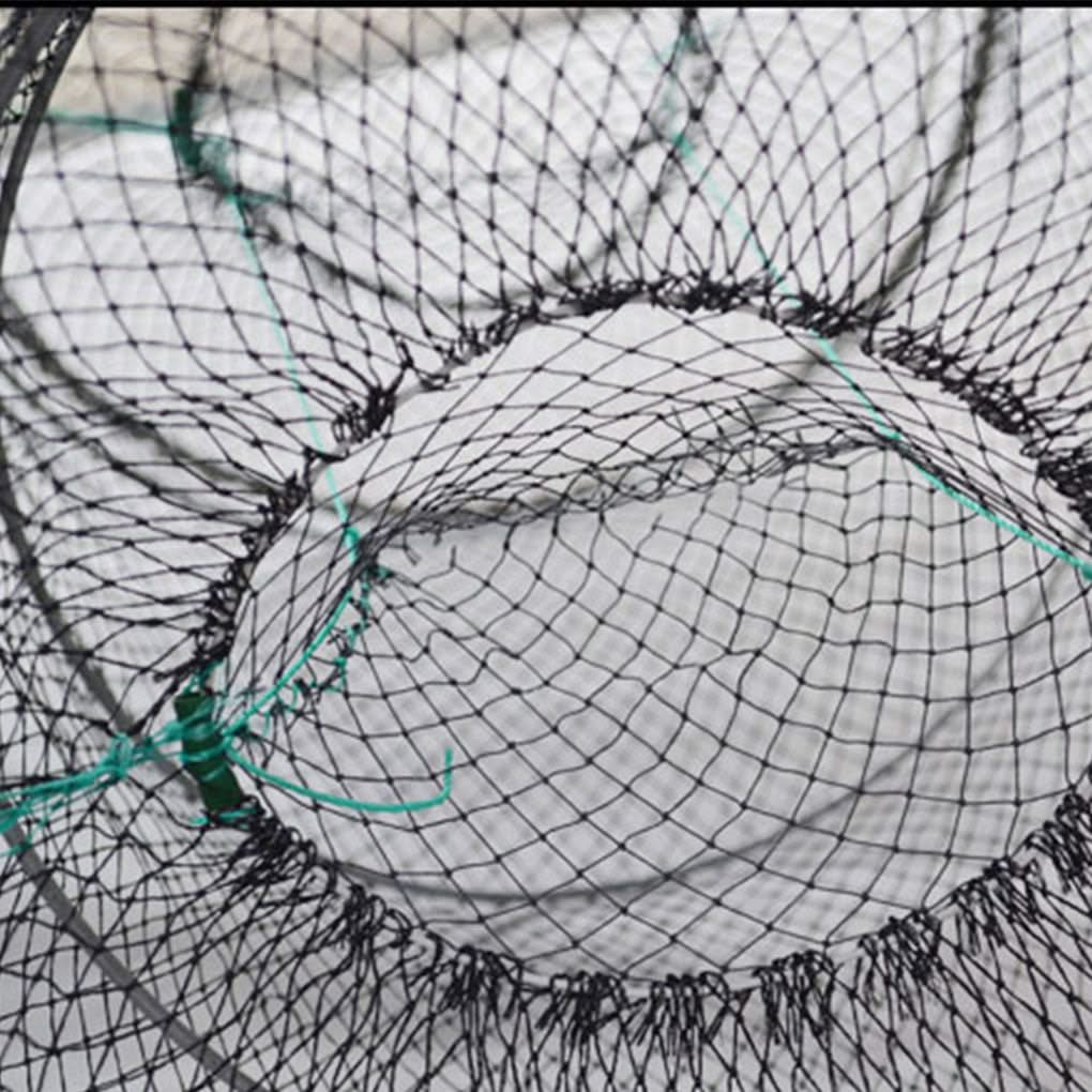 Fish & Turtle Cage