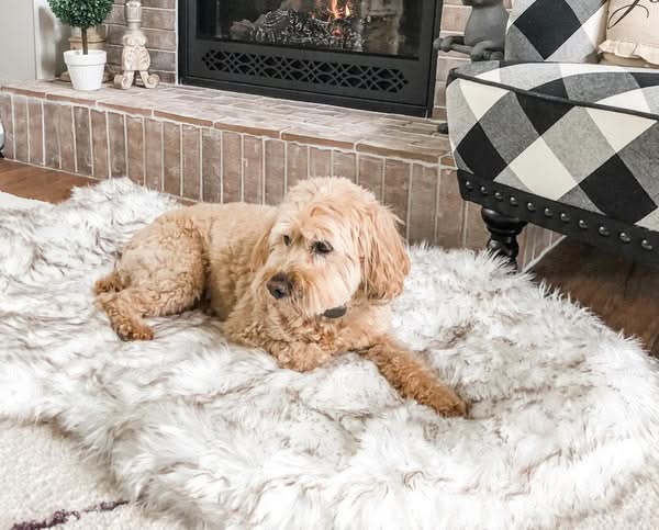 Pet dog plush mat