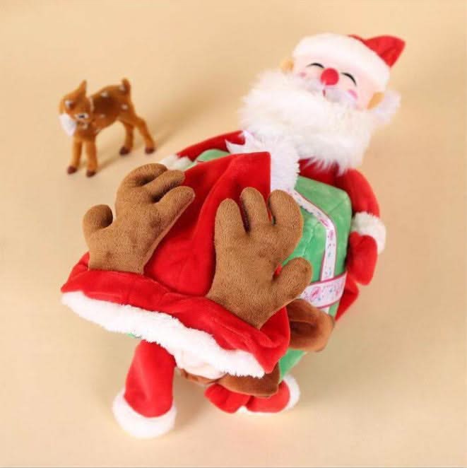 Dog clothes