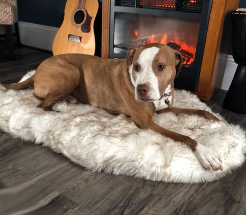 Pet dog plush mat