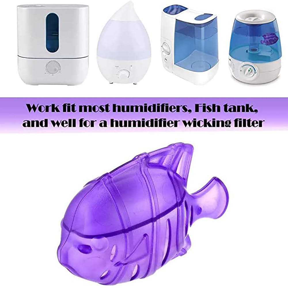 Clean The Filter Screen Of Fish Humidifier