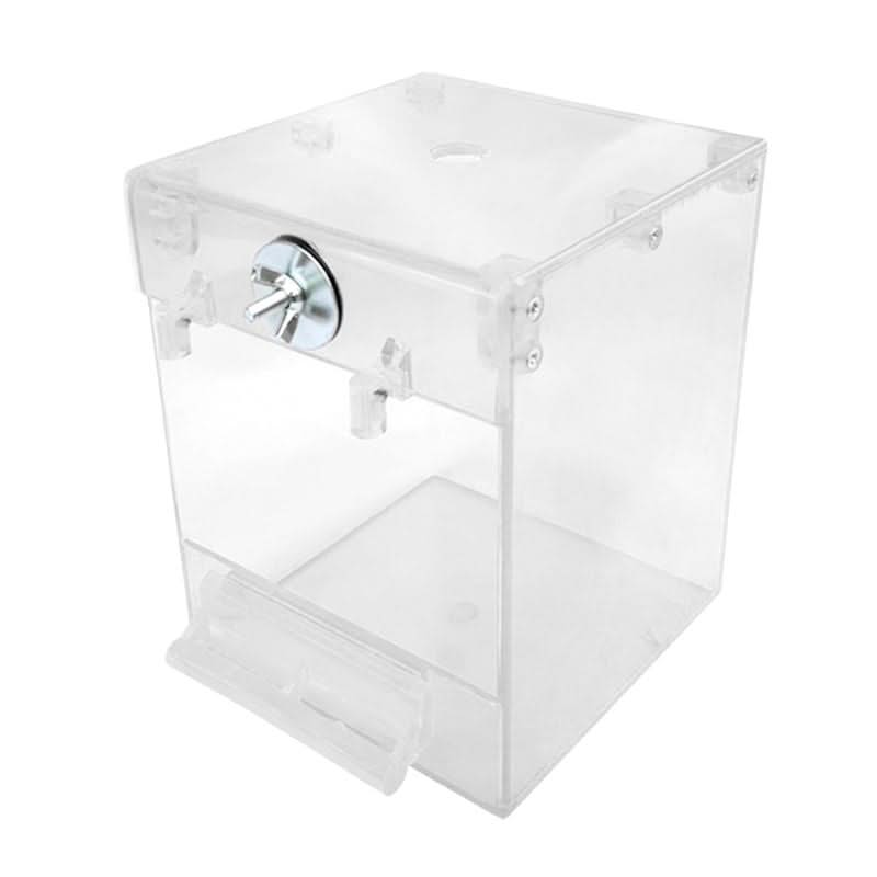 External Bird Bath