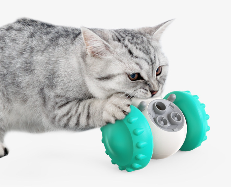 Cat Slow Food Interactive