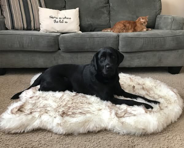 Pet dog plush mat