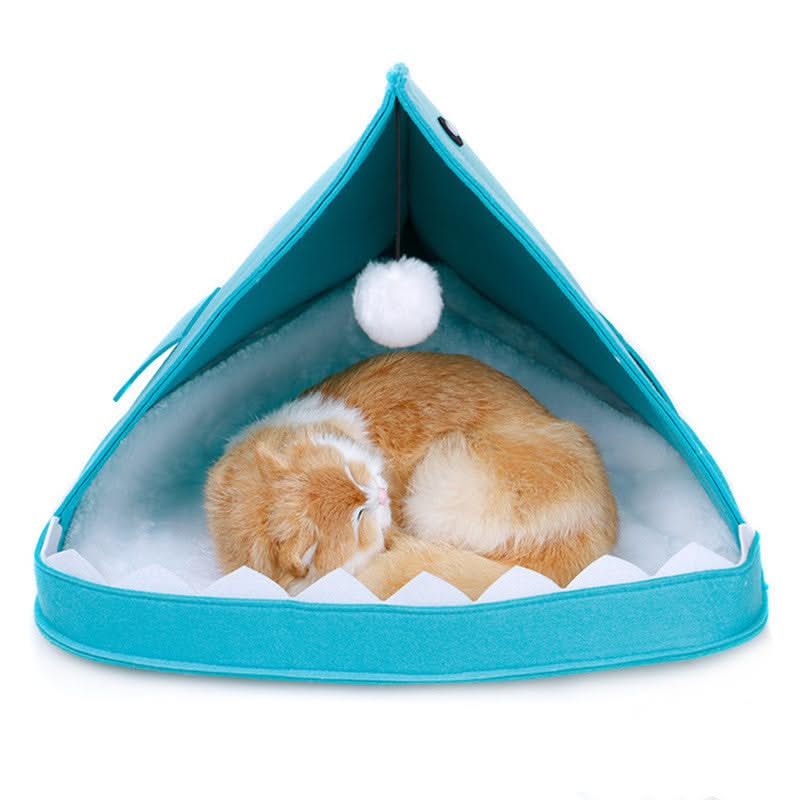 Shark pet cat nest