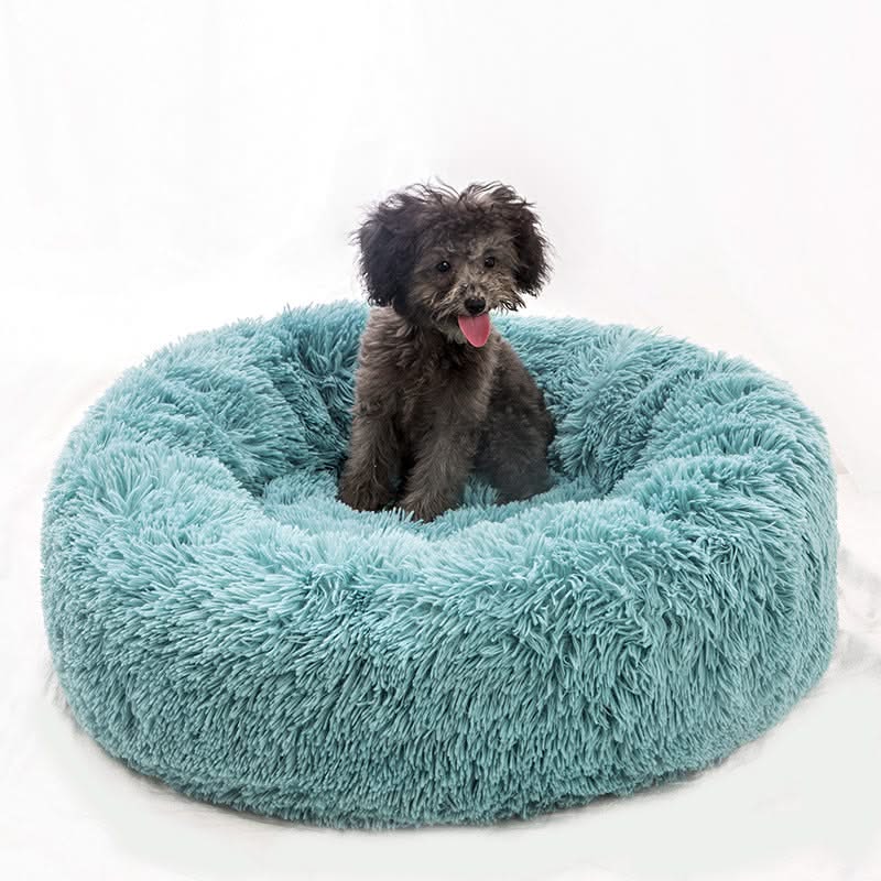 Small Dogs Round Plush