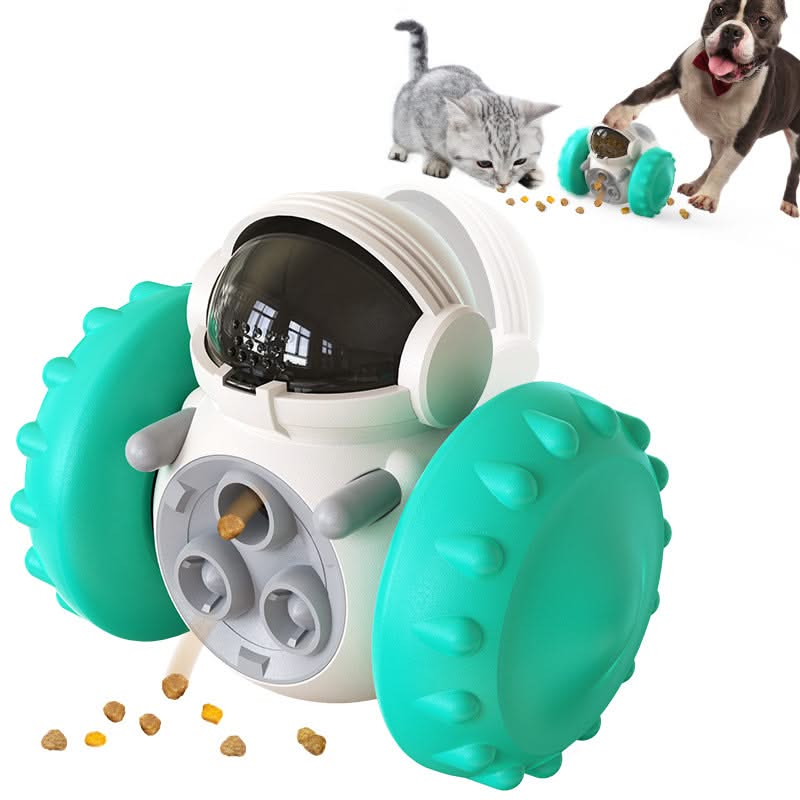 Cat Slow Food Interactive