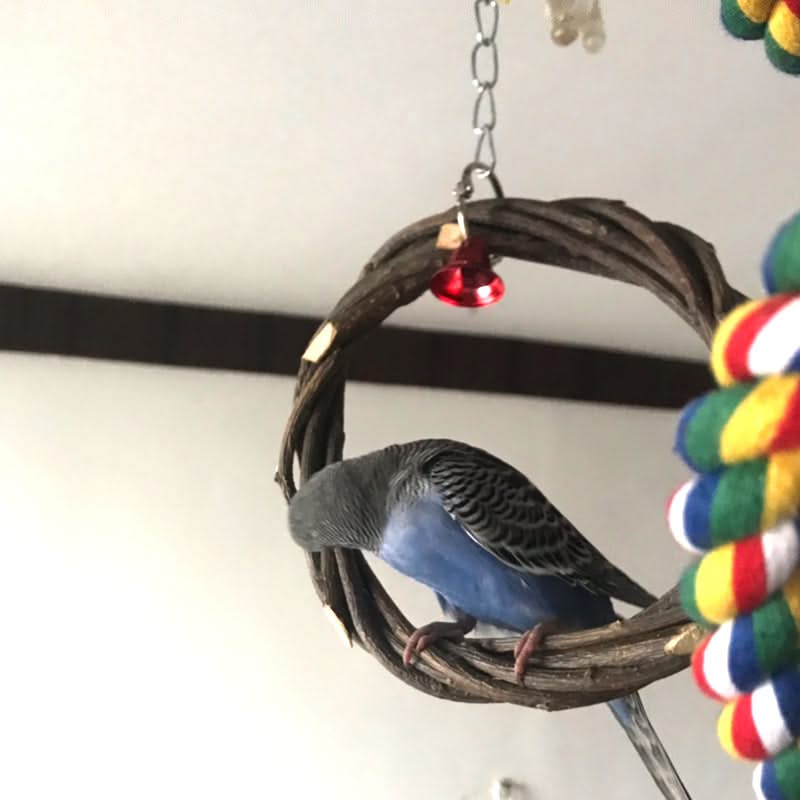 Bird Standing Frame Toy