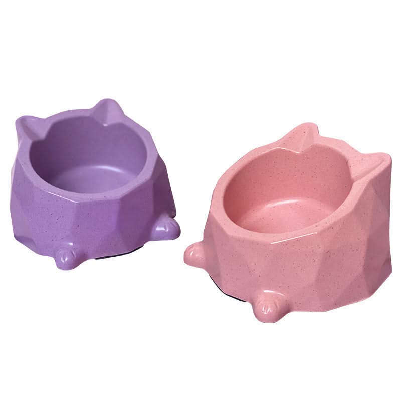 Pet Food Bowl
