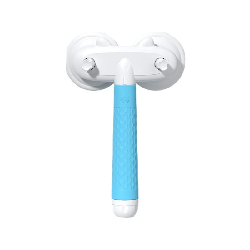 Pet Hair removel Brush