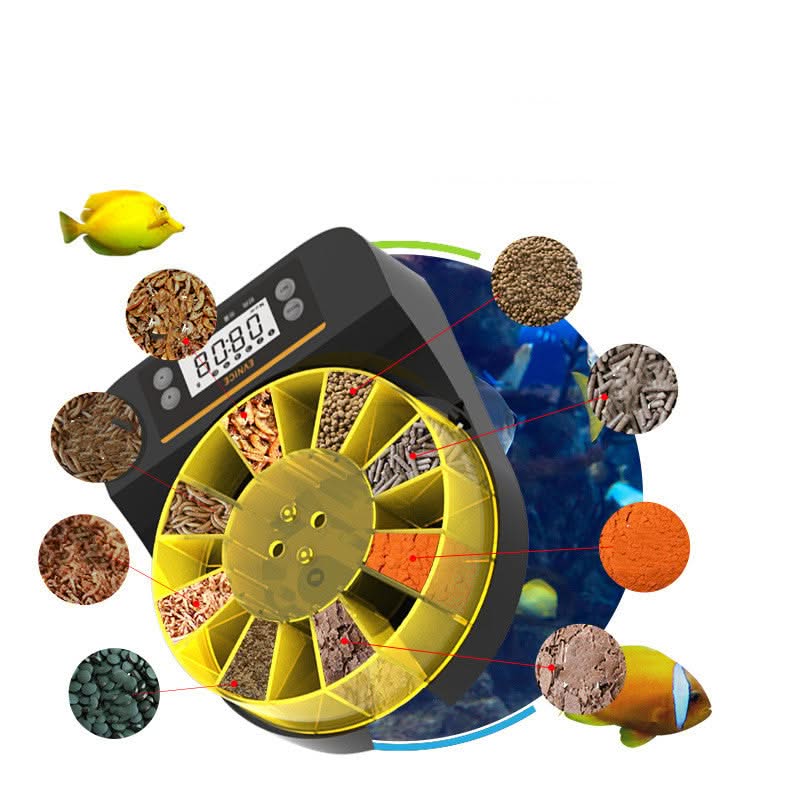 Feeders For Dried Shrimp In Sea Tanks