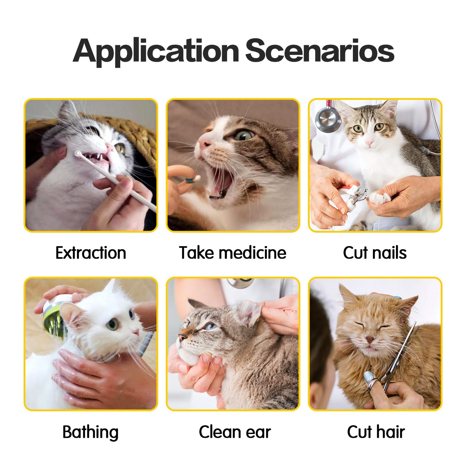 Cat Anti Scratch Travel Bag