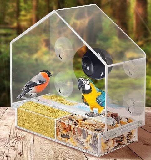 Crylic Bird Feeder
