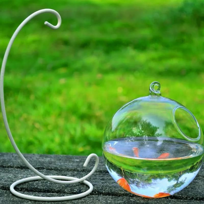 Hanging Glass Fish Tank