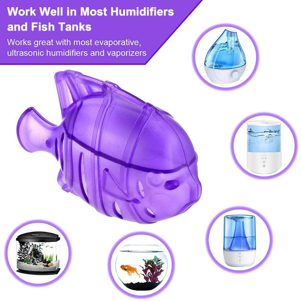 Clean The Filter Screen Of Fish Humidifier