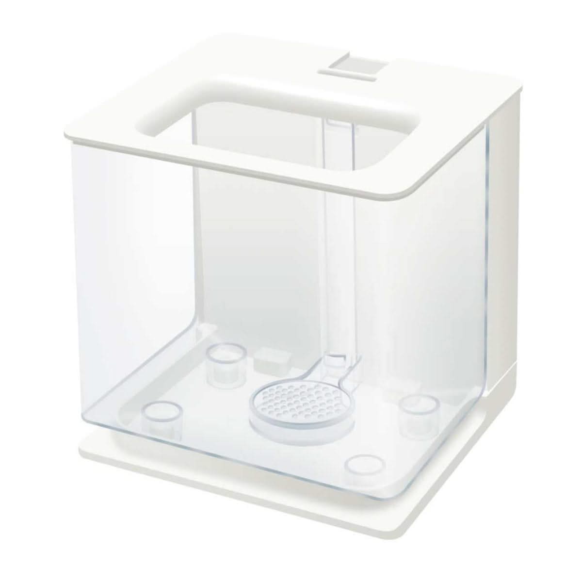 Self-cleaning fish tank