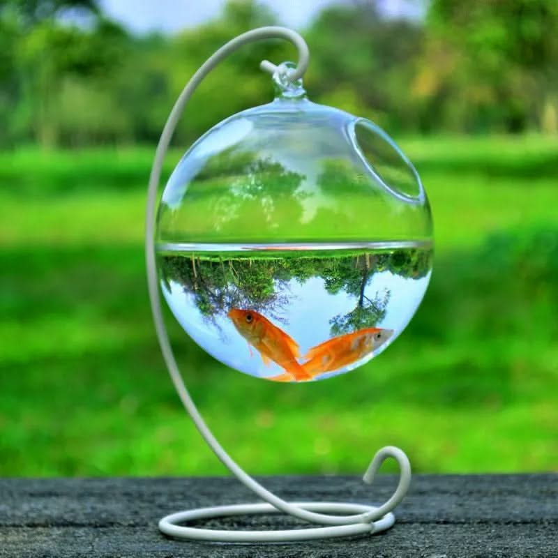 Hanging Glass Fish Tank