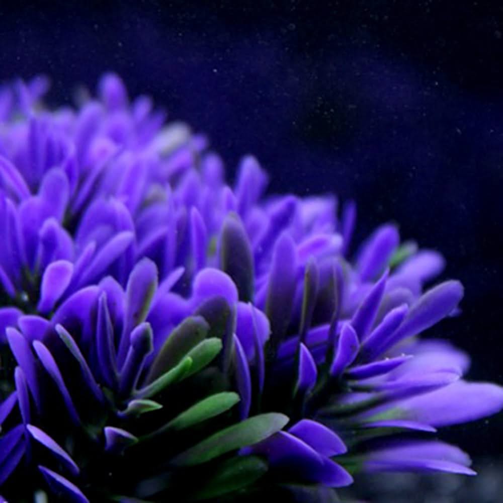 Fish tank landscaping aquarium