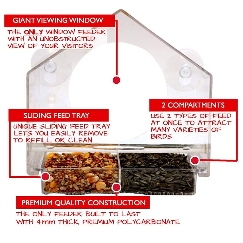 Crylic Bird Feeder
