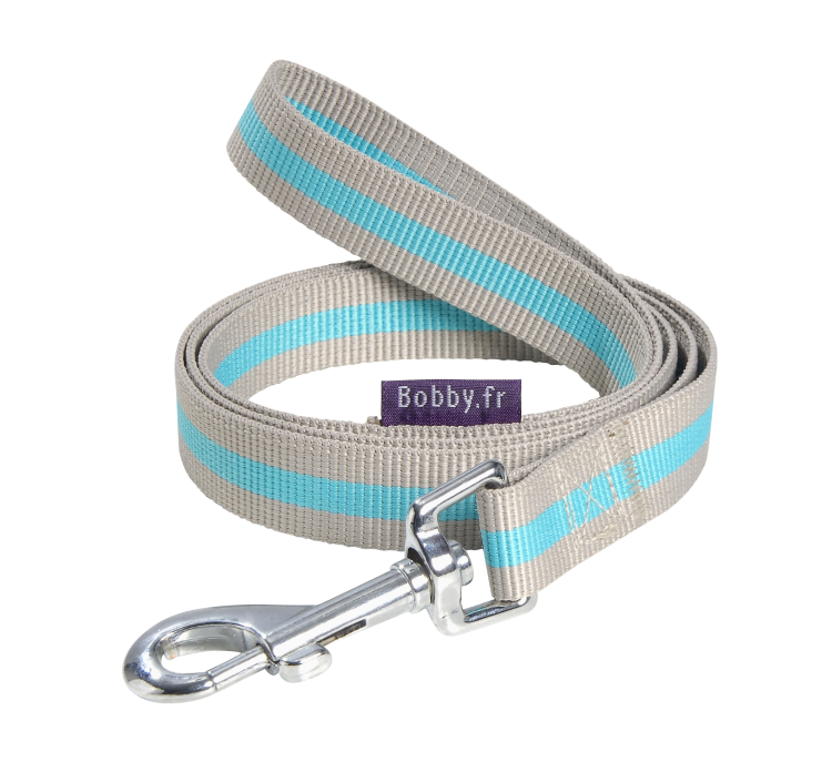 Dog Leash