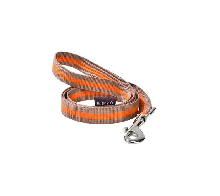Dog Leash Orange