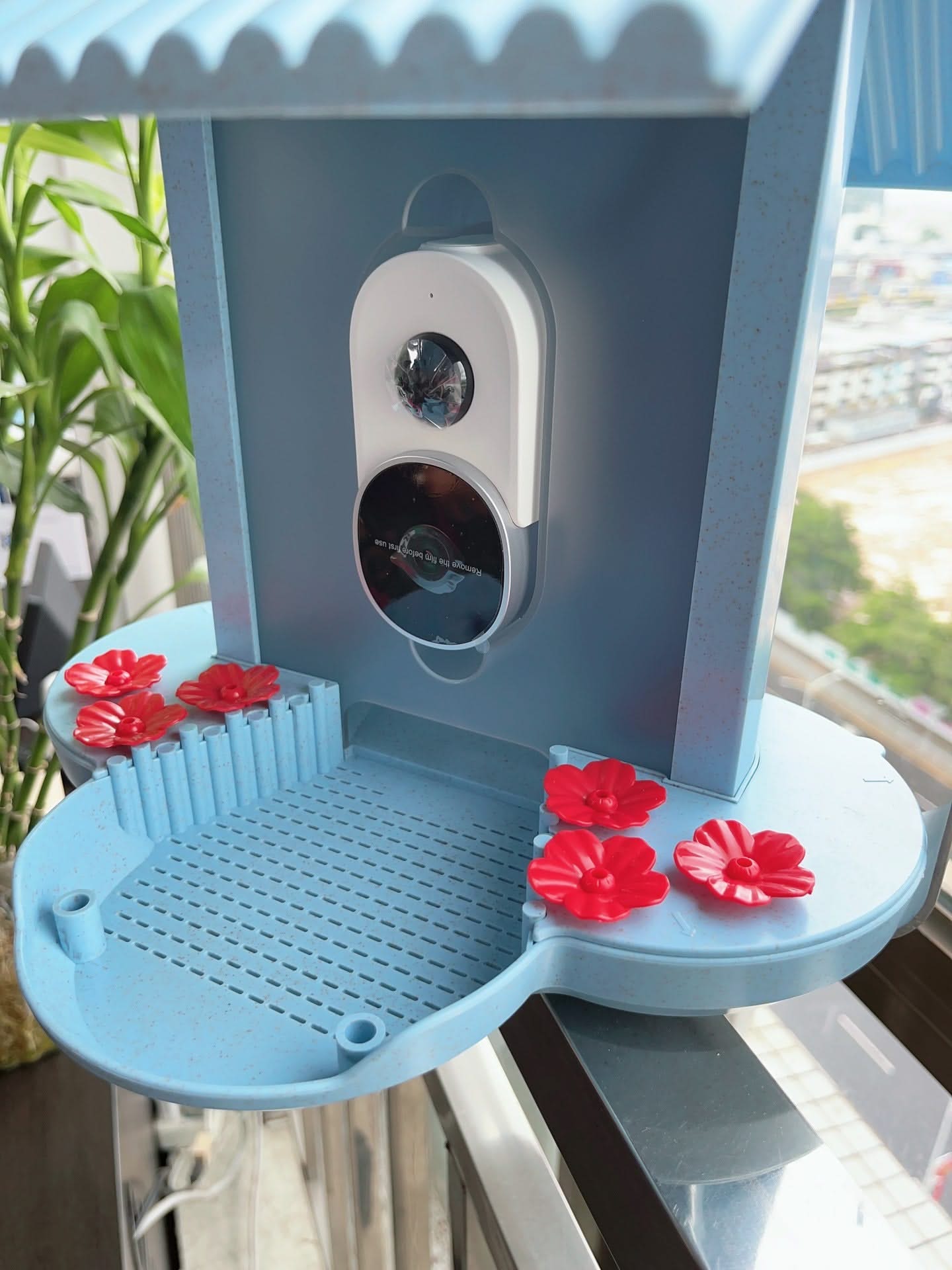 Intelligent 160 Degree Birds Feeder