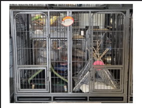 Dog cage steel 148cm L x 128.5cm H x 96cm W