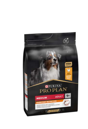 Purina Pro Plan Everyday Nutrition Medium Adult, Dry Dog food with Chicken